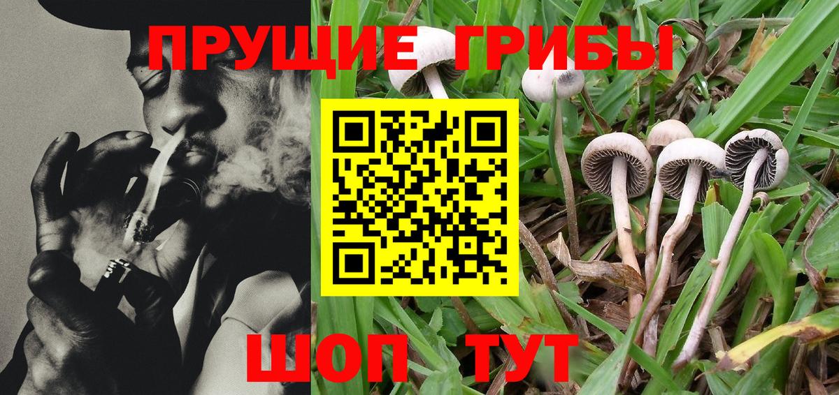 Галлюциногенные грибы мухоморы  Вход с VPN  Тула 