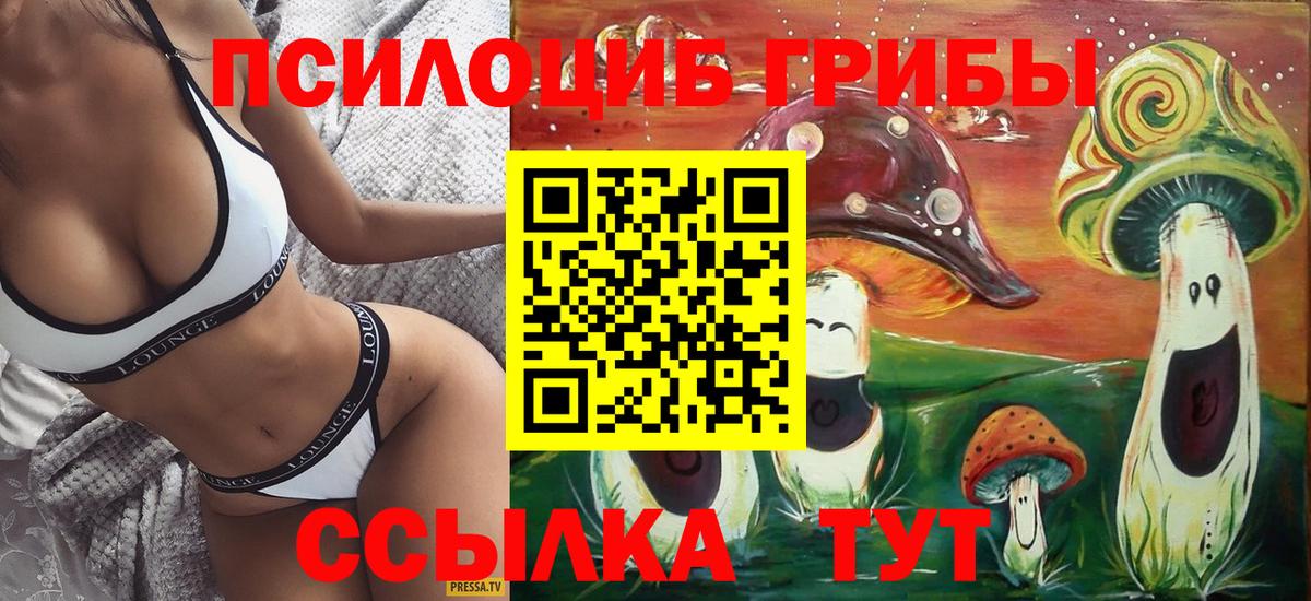МЕФ Тула