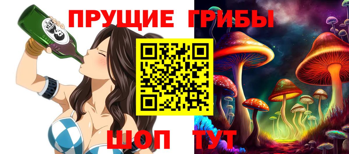 Псилоцибиновые грибы Cubensis Тула